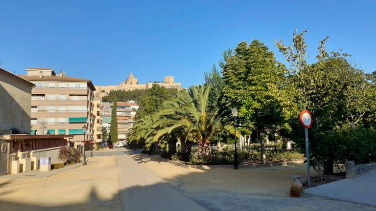 Un detenido por agredir a la Policía Local en el Paseo