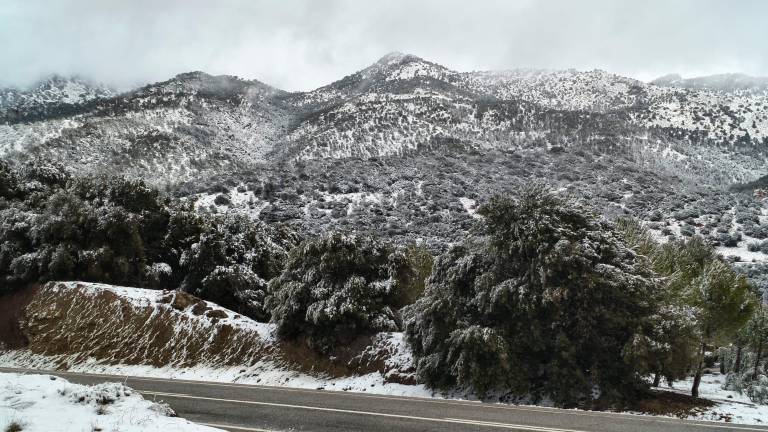 Temporal en Jaén: Más de 50 litros por metro cuadrado acumulados en varios puntos