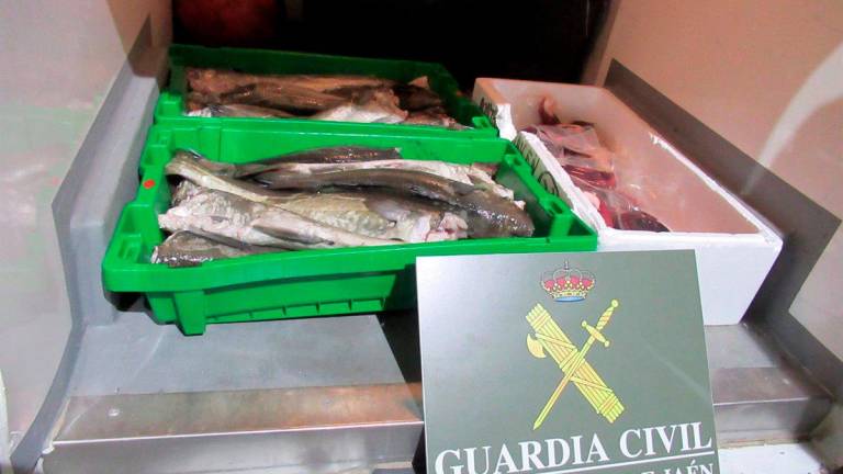 Intervenidos en Guarromán cerca de 51 kilos de pescado no aptos para el consumo