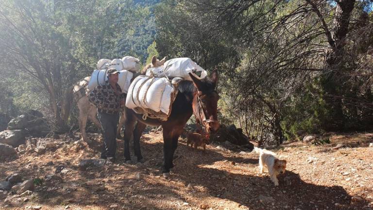 Muere Nica, uno de los últimos serranos