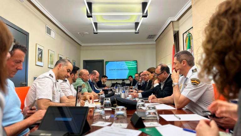 Autoridades en la reunión del Comité Asesor del Plan Infoca celebrada en la Delegación del Gobierno. 