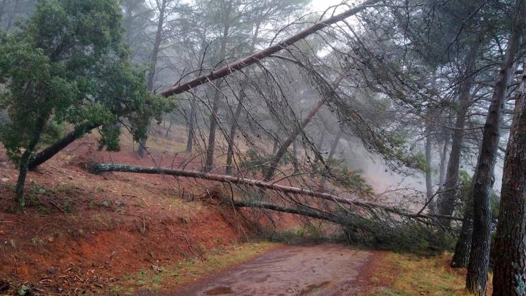 La borrasca Elsa afecta a Alcaudete