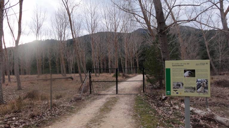 El pulmón verde desaparecido en la idílica Nava de San Pedro