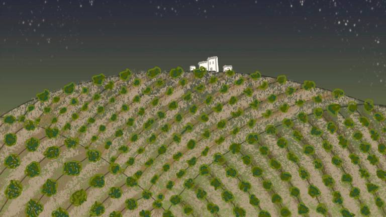 Desvelado el palmarés del VIII Concurso de Relatos sobre Olivar y Oleoturismo