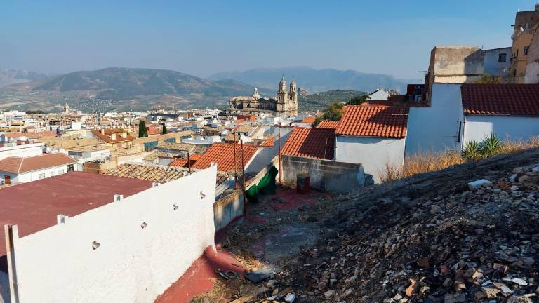 Los cármenes de la calle Vicario: Diseño de jardín urbano en el casco antiguo de Jaén