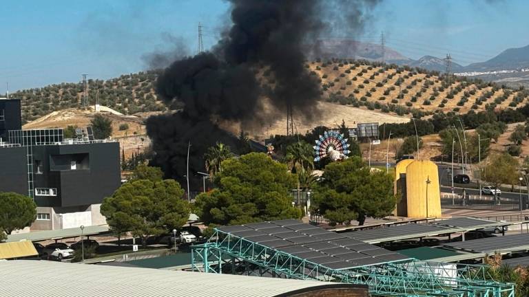 Los bomberos apagan el incendio de unos contenedores frente a la UJA