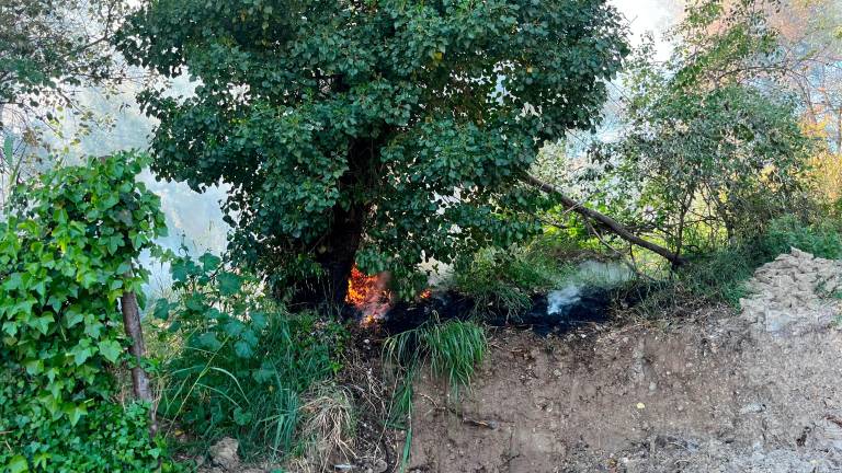 Un incendio en La Paloma moviliza a los servicios de emergencia en el Puente de la Sierra