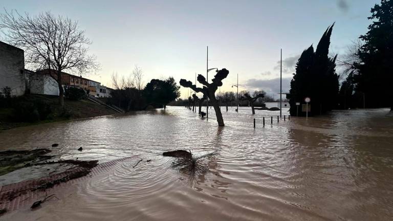 La crecida del Guadalquivir a su paso por Villanueva de la Reina, desde el aire