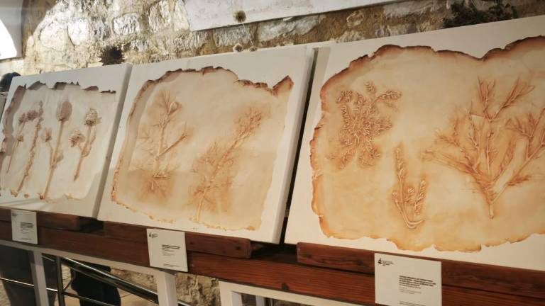 “Historia, botánica y huella árabe”, un crisol de técnicas del alumnado de la José Nogué