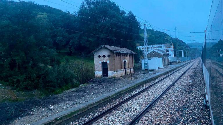 El tren detenido en las inmediaciones de Calancha.