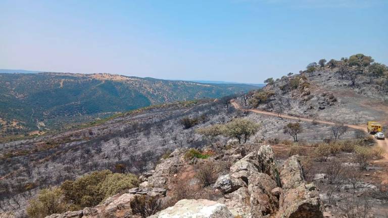 Queda extinguido el incendio forestal de El Encinarejo