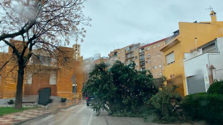 El viento y las lluvias pasan factura en todos los barrios de Jaén