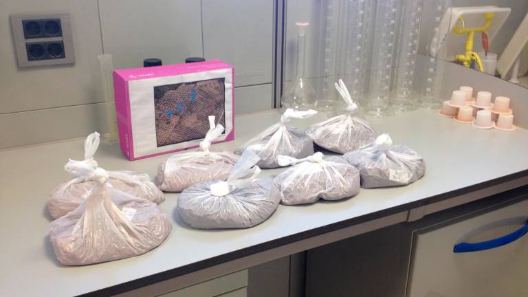 Los drones ya sobrevuelan de nuevo los olivares jiennenses