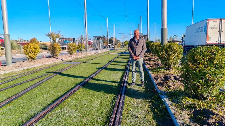 Refuerzo y embellecimiento de las zonas verdes del trazado del tranvía