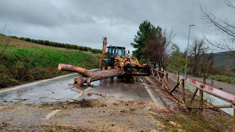Cerca de 130 incidencias, 665 personas desalojadas y más de una docena de carreteras cortadas