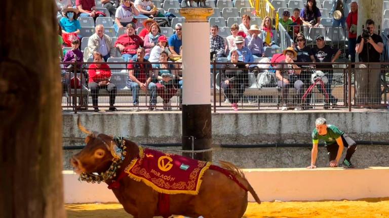 Beas de Segura y sus toros ensogaos ya viven los rituales de la fiesta