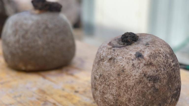 Obras para recuperar la historia