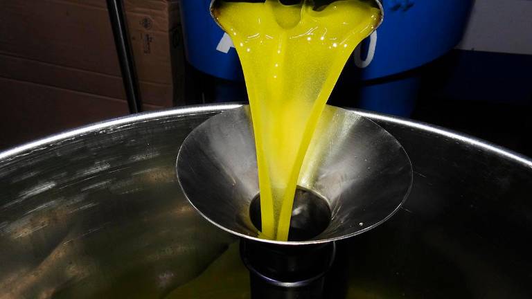La producción de aceite, de récord