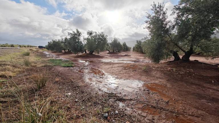 La Aemet pronostica una semana de lluvias para los campos jiennenses