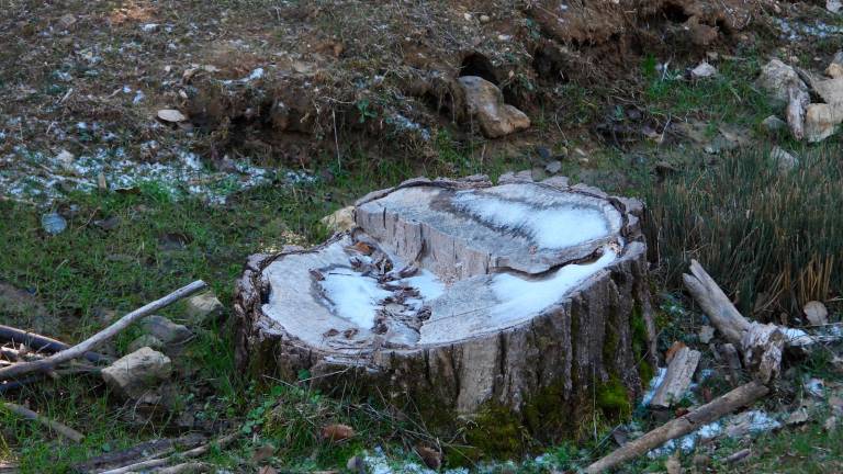 Alerta por nieve en Cazorla y Segura