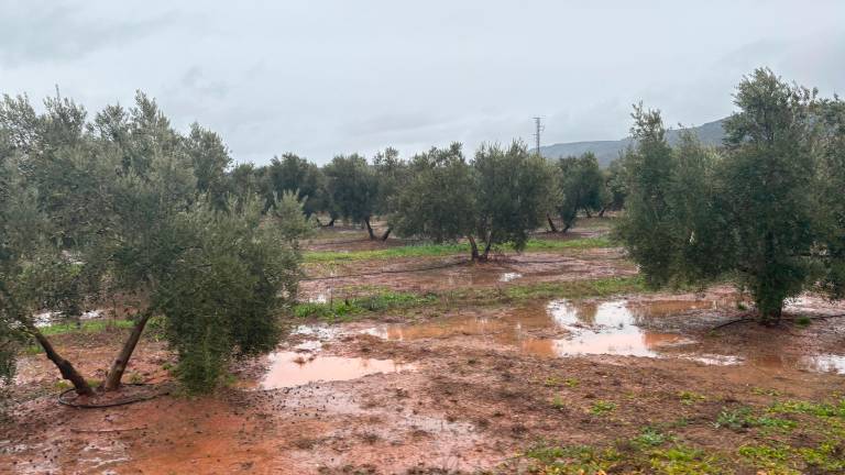 La borrasca Ingrid abre una racha de lluvias y frío en Jaén
