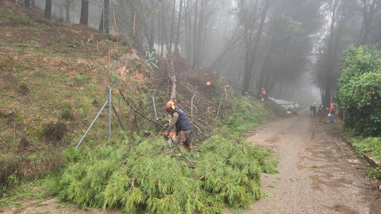 El agua vuelve poco a poco a los hogares afectados en Jamilena