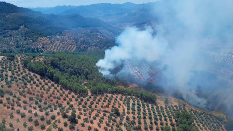 Estabilizado el incendio declarado en un paraje de Torres de Albanchez