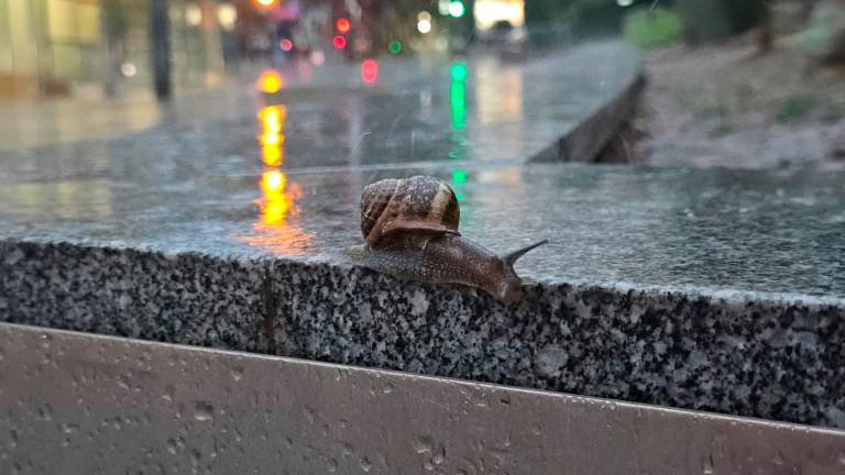 Jornada sin riesgos meteorológicos: El aviso amarillo desaparece en Jaén