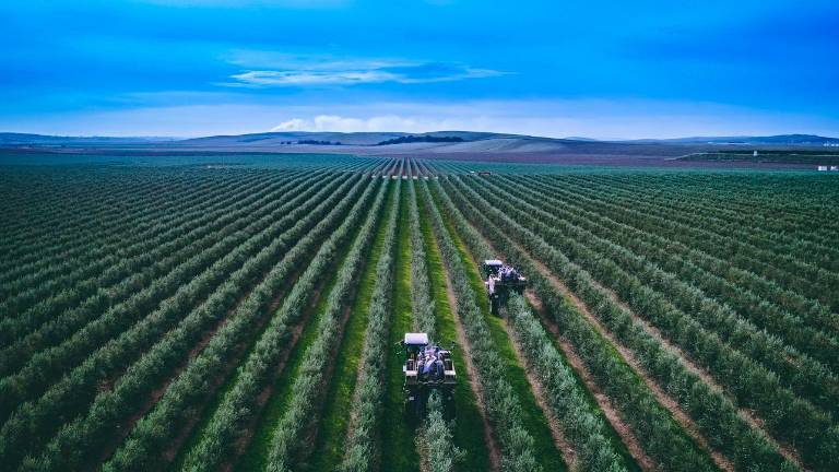 La agricultura sostenible