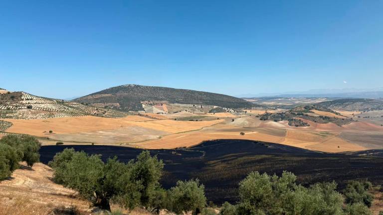 Incendio controlado en Huelma gracias a la rápida actuación de los efectivos de emergencia