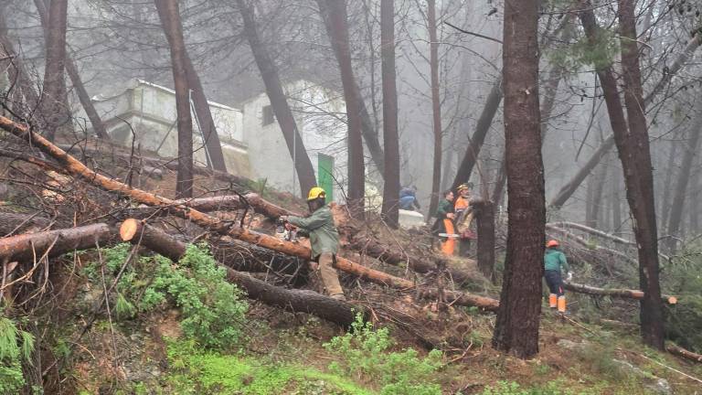 El agua vuelve poco a poco a los hogares afectados en Jamilena