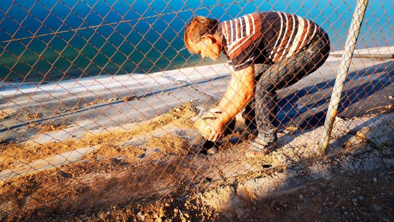 Facilidades en 31 municipios para atajar la plaga de conejos