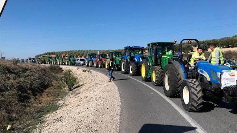 Una tractorada en protesta por la crisis del sector agrario atraviesa Granada capital