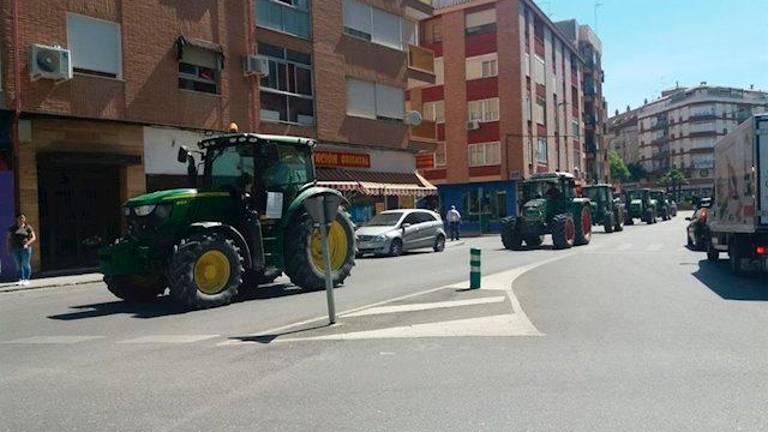 El Ayuntamiento anima a sumarse a la concentración por el olivar