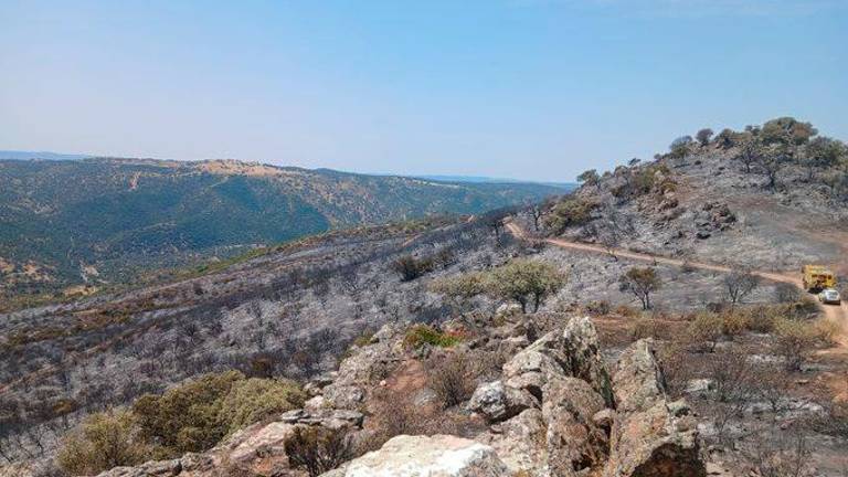 Los incendios forestales ponen en alerta roja a la provincia