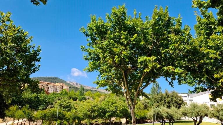 Una zona verde de Las Fuentezuelas, propuesta municipal para el monumento a los héroes de la covid