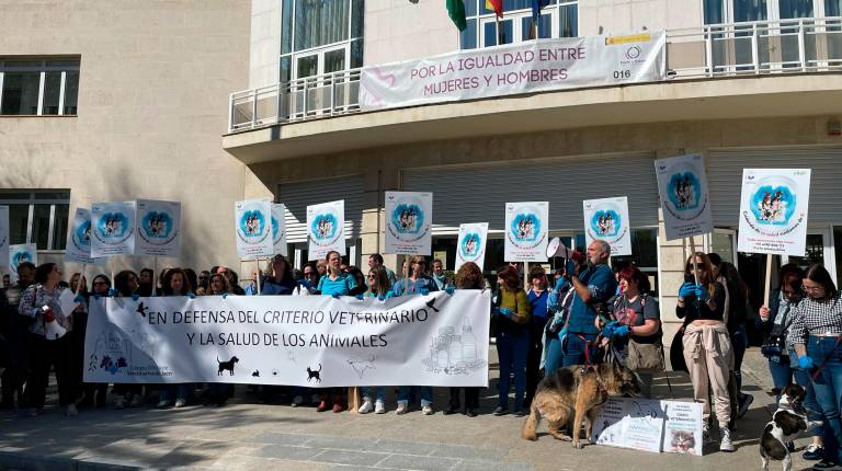 <i>Veterinarios hacen ruido contra el Real Decreto 666 a las puertas de la Subdelegacion. / Judit Laguna. / Diario JAÉN.</i>