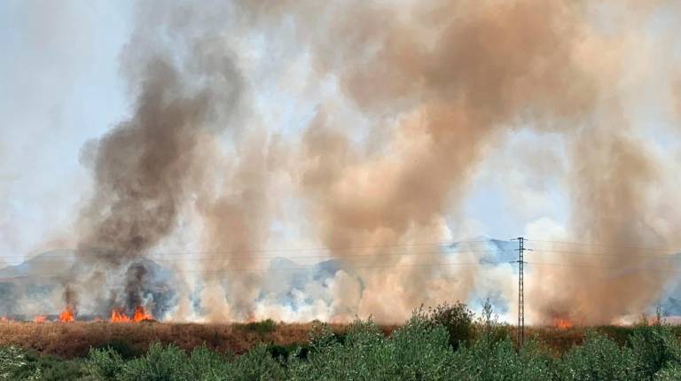 <i>Columnas de humo en el incendio declarado junto al Hospital Neurotraumatológico. / Pablo Espinosa / Diario JAÉN </i>