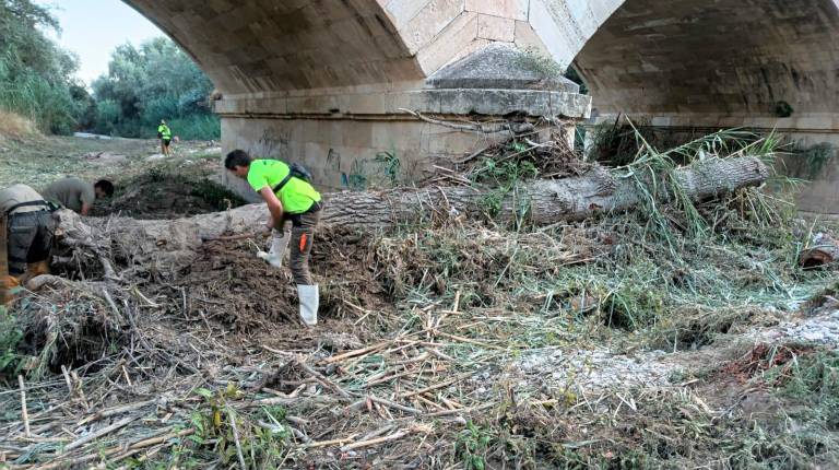 <i>Labores de limpieza en la zona. / Ayuntamiento de Jaén</i>