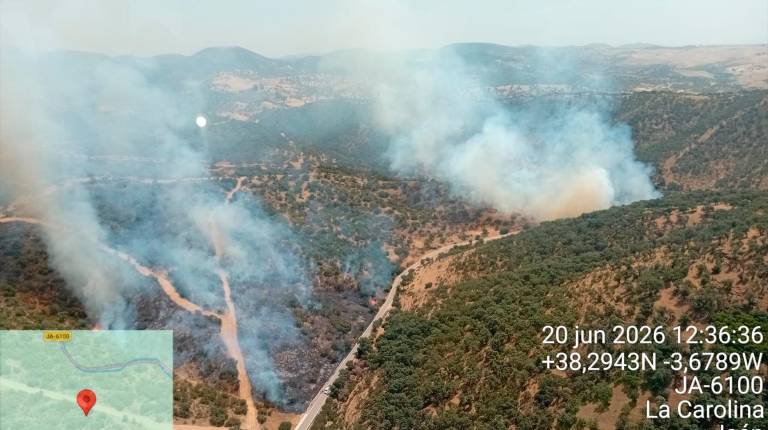 <i>Imagen aérea del incendio forestal declarado en La Carolina. / Infoca. </i>