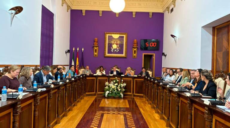 <i>Durante la celebración del pleno del Ayuntamiento de Jaén. / Elisabeth Ruiz / Diario JAÉN. </i>