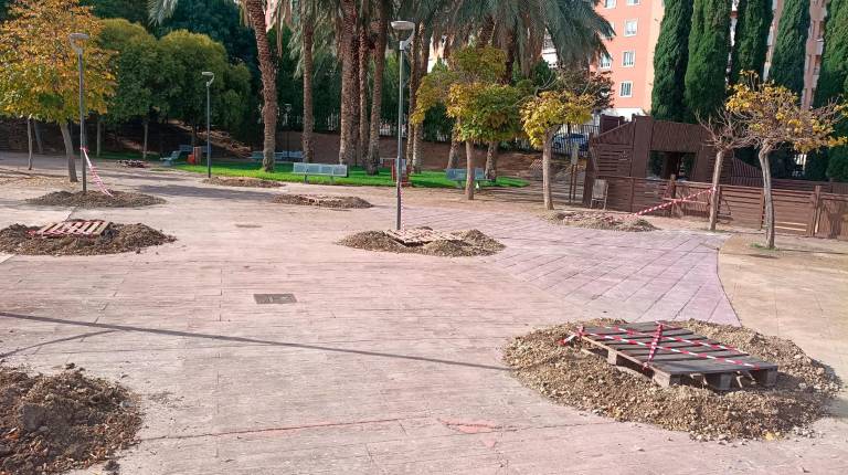 <i>Nuevo arbolado en Jaén. / Ayuntamiento de Jaén.</i>