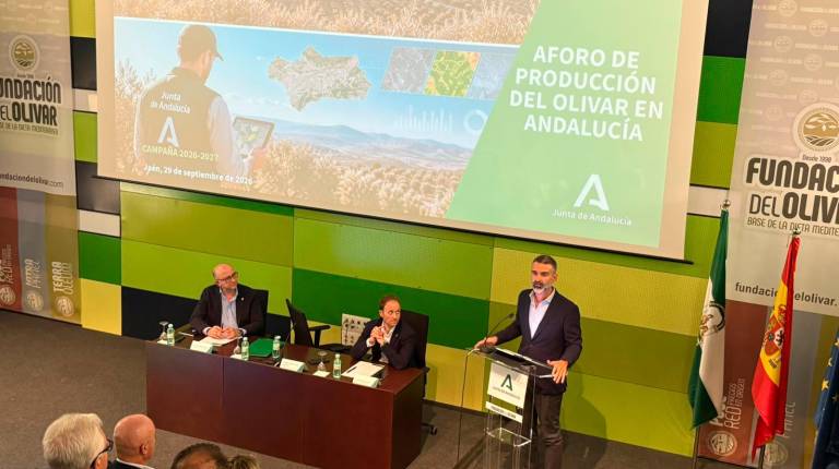<i>Manuel Gómez, Erik Domínguez y Ramón Fernández-Pacheco. / Elisabeth Ruiz / Diario JAÉN. </i>