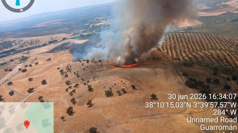 <i>Incendio activo en el Paraje Cerro Saro. / Plan Infoca. </i>