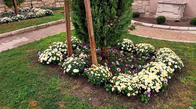 <i>Algunas de las plantas de flor que ya lucen en el centro de la ciudad. / Ayuntamiento de Jaén.</i>