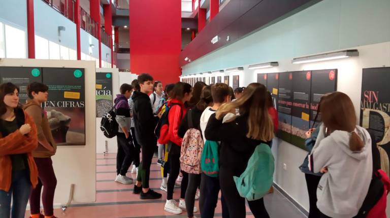 <span class=mln_uppercase_mln>MUESTRA</span><i>. Alumnos de Secundaria visitan la exposición “Los enlaces de la vida”, en la Universidad de Jaén.</i>