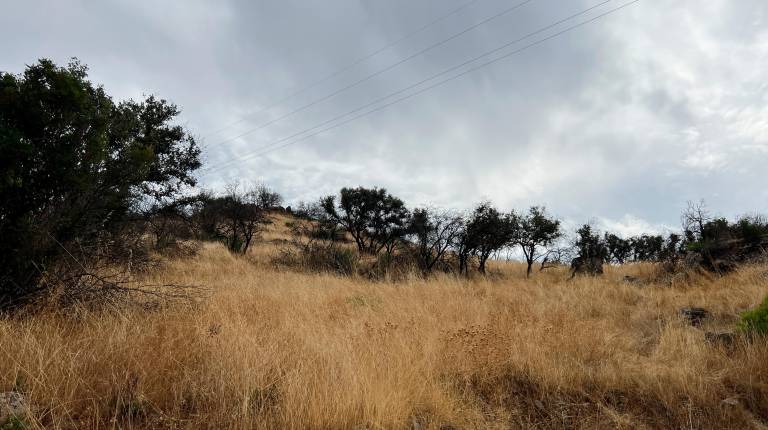 <i>El paraje de la zona del embalse de El Encinarejo, a 18 de agosto de 2025 (un año después del fuerte incendio forestal), vuelve a recuperarse. / Jason Moyano / Diario JAÉN.</i>