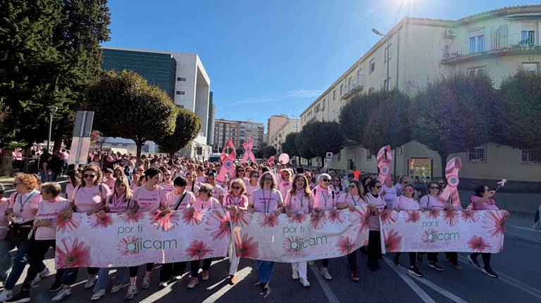 <i>Marcha rosa en Jaén por el Día Internacional contra el Cáncer de Mama. / Ana Isabel Bravo / Diario JAÉN.</i>