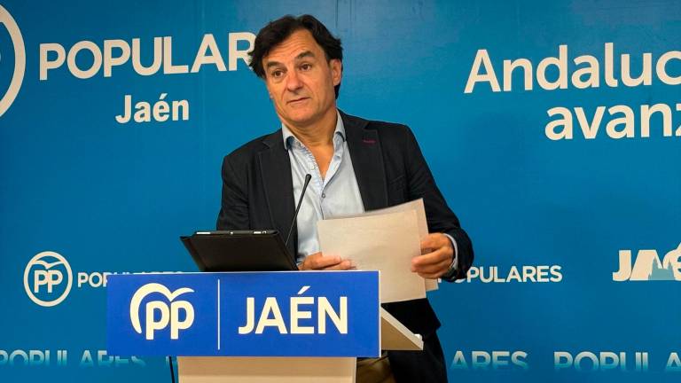 El PP critica el recorte en el mantenimiento de las vías públicas de la capital