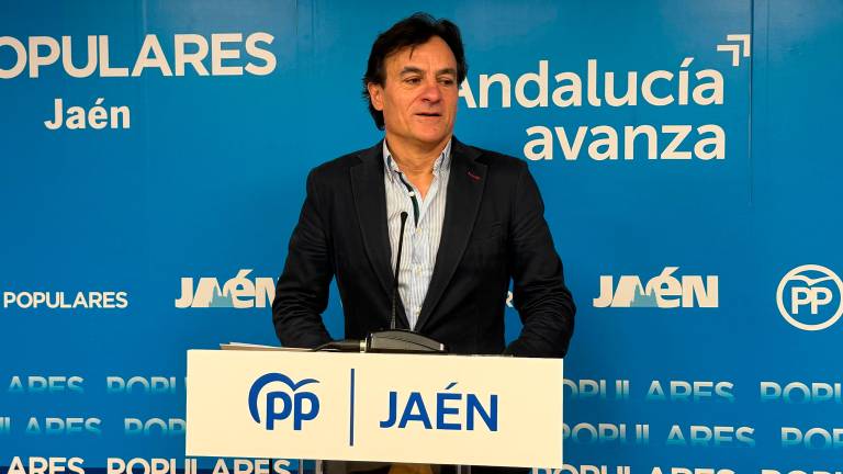 El portavoz del Grupo Popular municipal, Agustín González. / PP Ayuntamiento de Jaén.